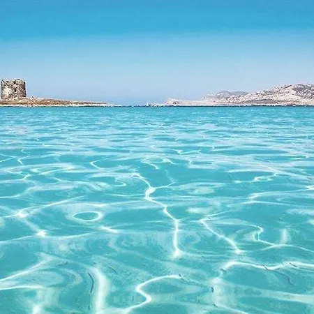 Maya * Alghero